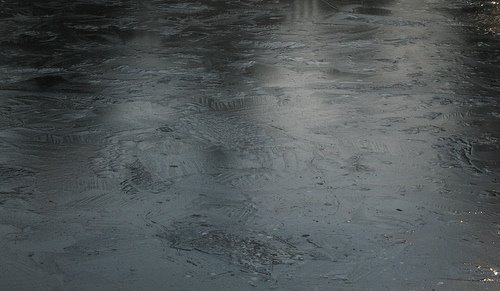 [383707353_f90f4b1f97.jpg]