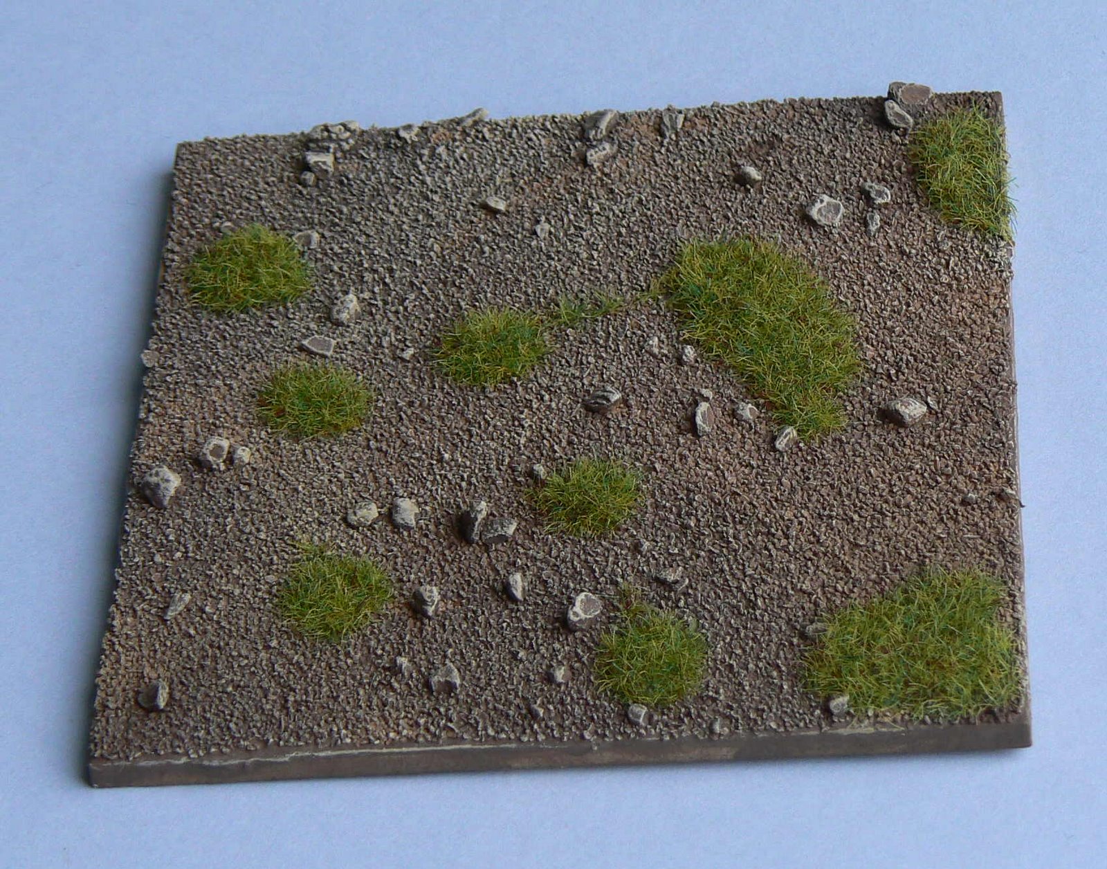 [Flock_P1030320_sector_grass.jpg]