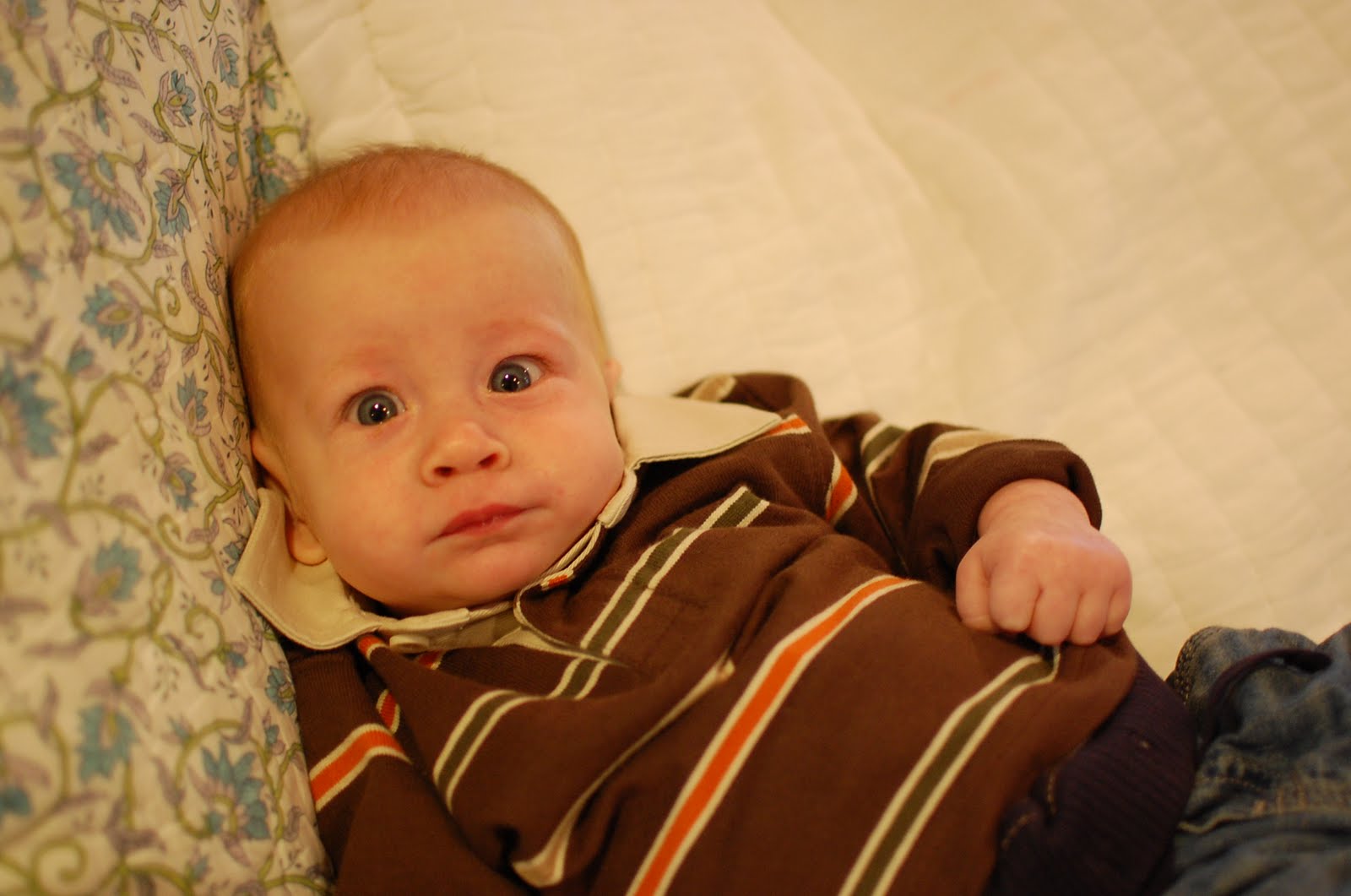 [DSC_1190.JPG]