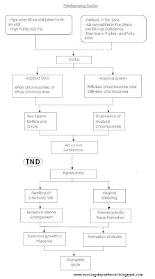 Pathophysiology of