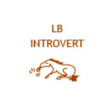 Left Brained Introvert