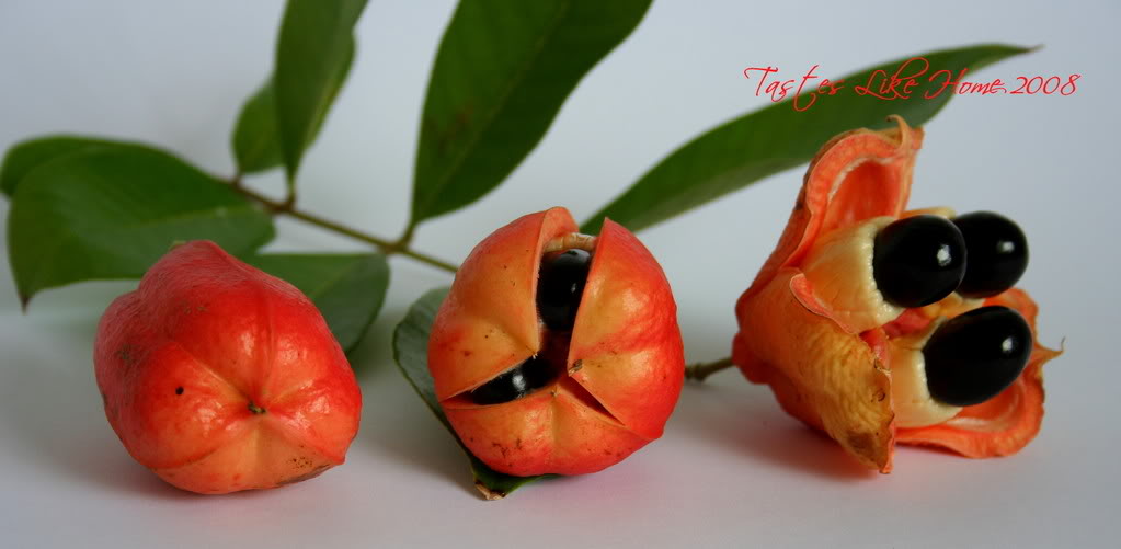 Jamaican Jabber Ackee The National Fruit