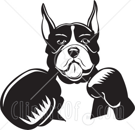 Dog Boxing Gloves