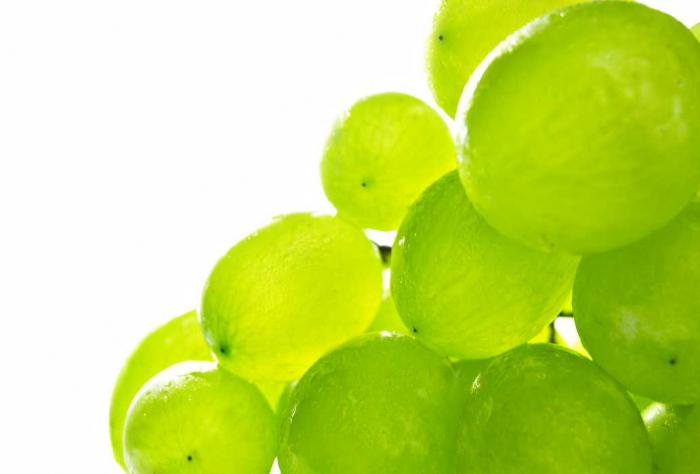 [present_53_01_B.jpg]