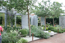 Botaniska i Göteborg sommaren 2008