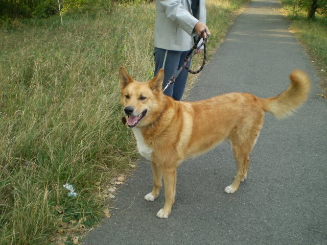 [2009.09.13.+011.jpg]