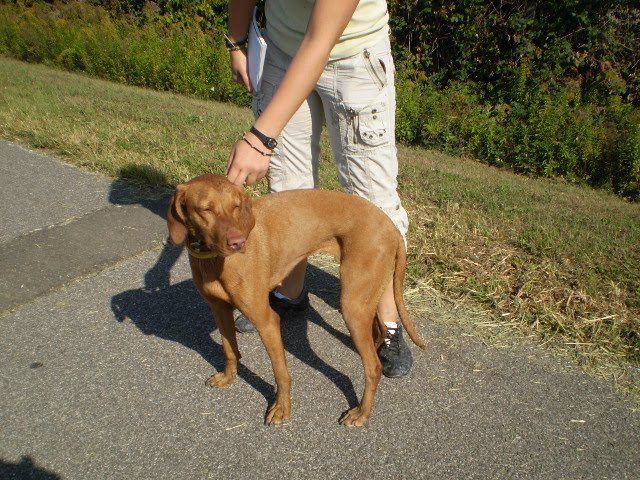 [2009.09.27.+001.jpg]