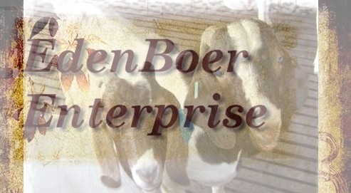 EdenBoer