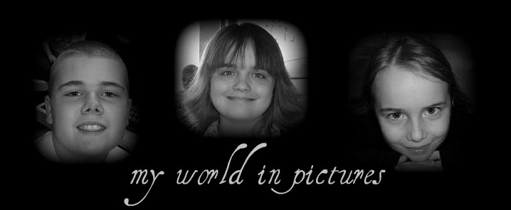 my world in pictures