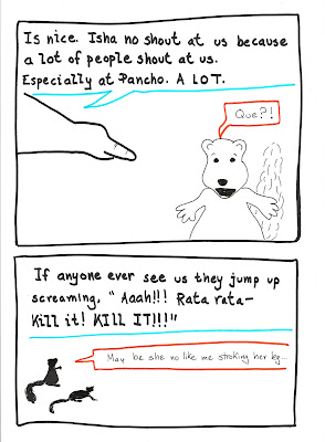 Bolivian Chinchilla Rat