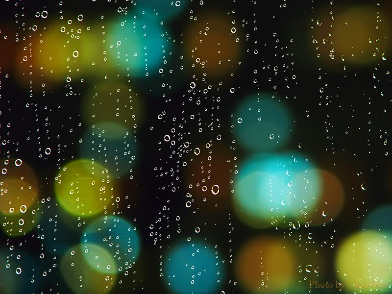 Camera Bokeh