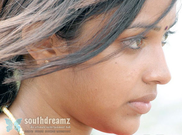 cinema indian: maina movie review