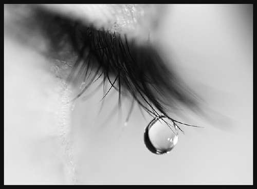 [tears.bmp]