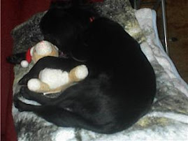 Lady sleeping with her teddy bear