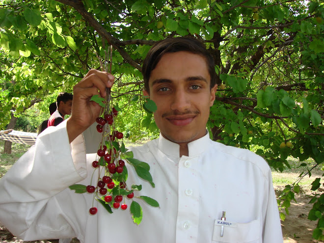 Char Asyab District, Kabul, 2007