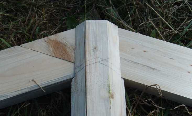 [Image00019.jpg]