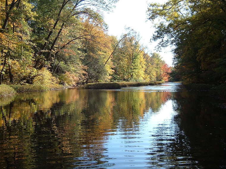 WADING BUFFALO CREEK IN MAZEPPA