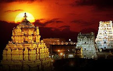 Tirupati Golden Termple