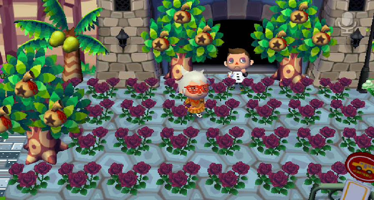 how to get more bells on animal crossing city folk