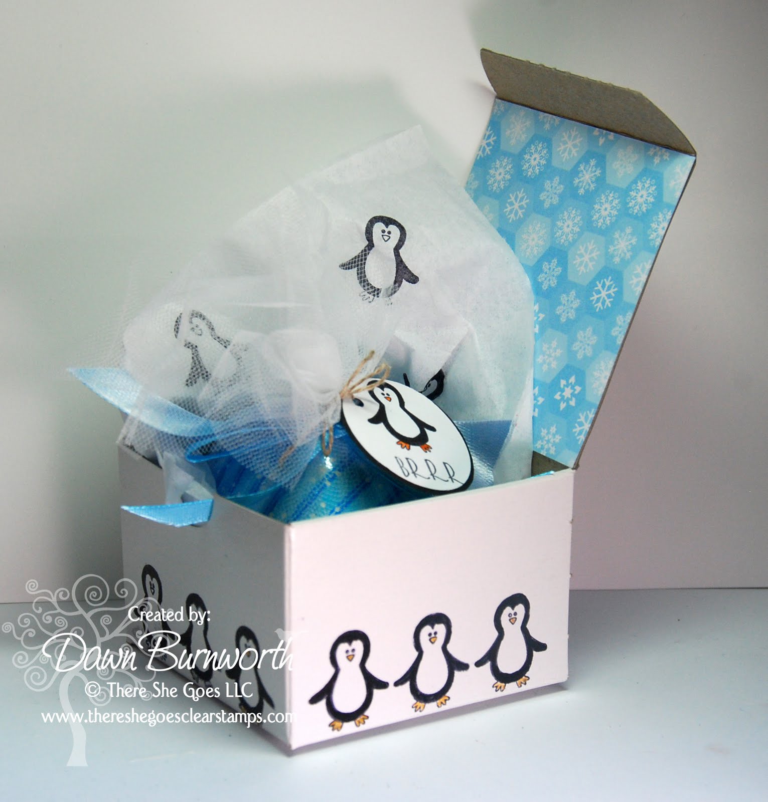 [TSGPEnguin+box.jpg]