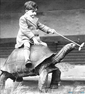 Kid Riding Turtle