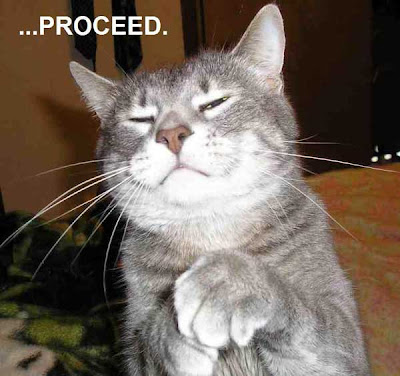 Funny Cat Pictures Topic - Page 2 Funny+Cat+Proceed
