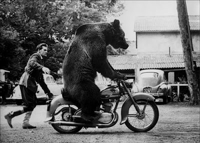 Man+Pushing+A+Bear+On+Bicycle.jpg