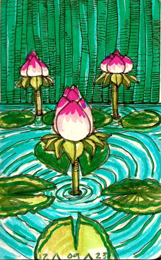 [lined+lotus.jpg]