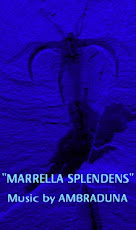 Neues Stück nr.7: "MARRELLA SPLENDENS"!