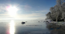 Ice on Lough Dergh