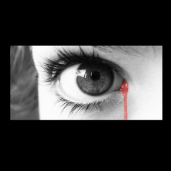 [lagrimasdesangre.jpg]