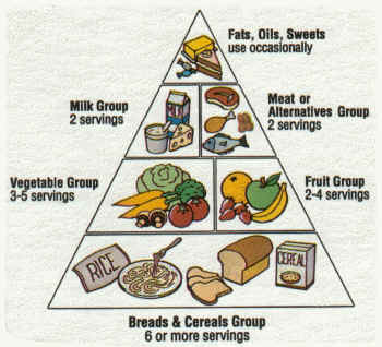 Healthy+living+pyramid+template