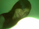 Foto saya