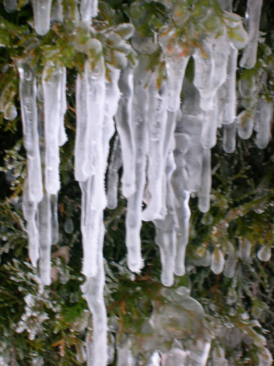 [DSCN4134.JPG]