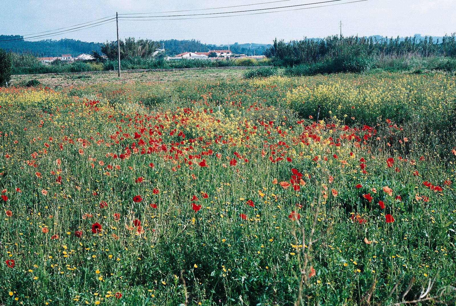 [Photo09_9.jpg]