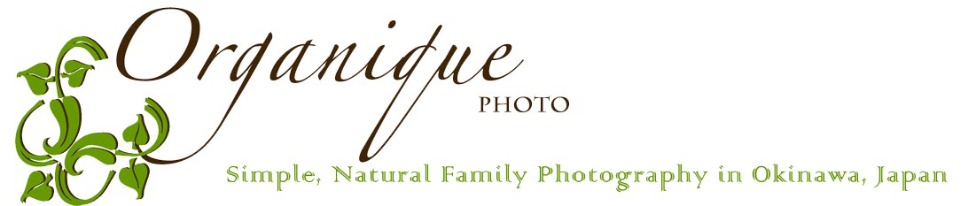Okinawa Photographer - Organique Photo - 2010 Northern VA, DC, Pinehurst & Fayetteville NC