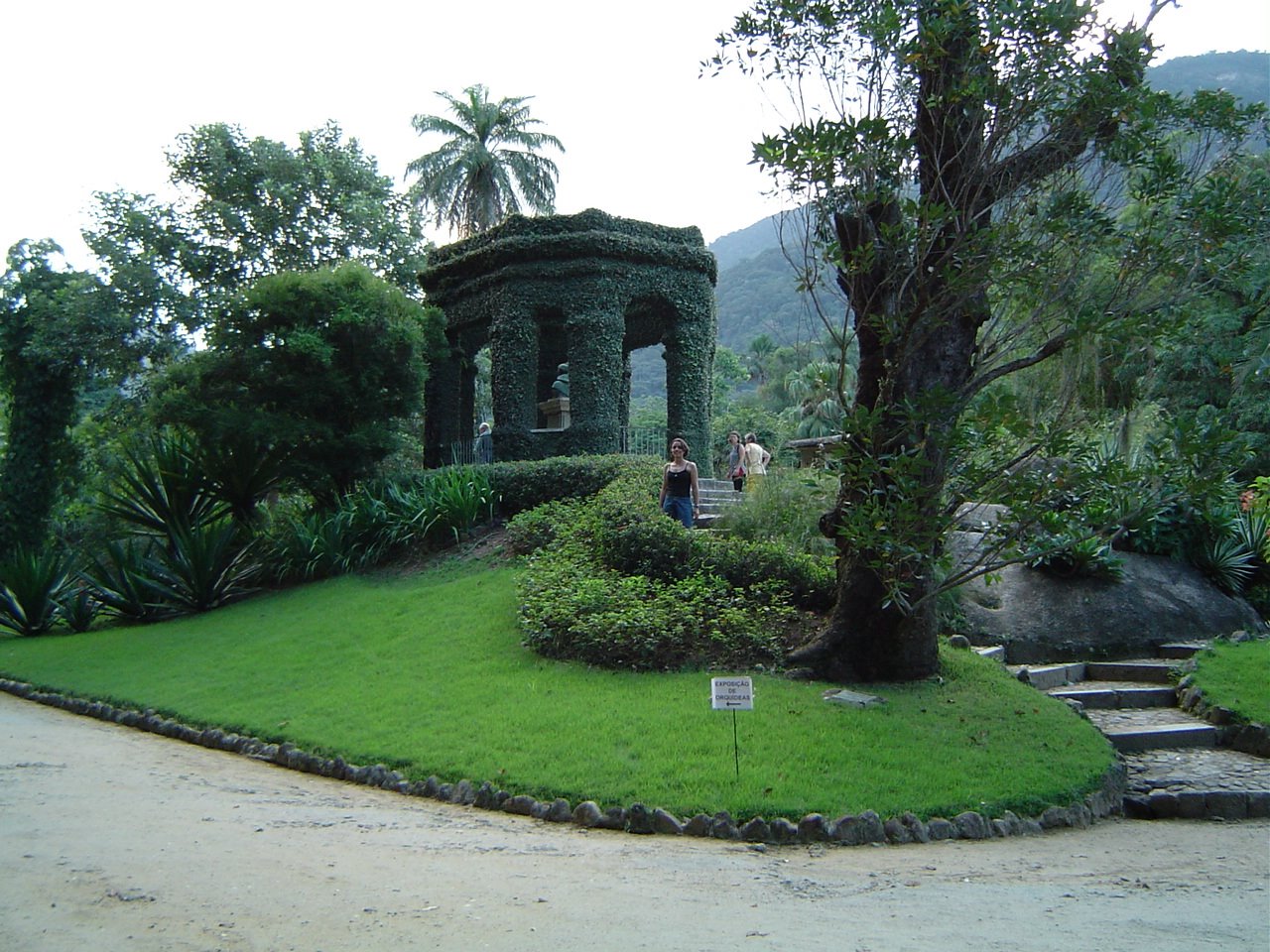 [DSC00325.JPG]