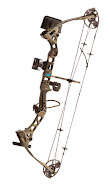 Highly recommended bow for beginner!