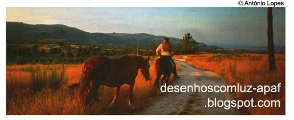 desenhoscomluz-apaf.blogspot.com