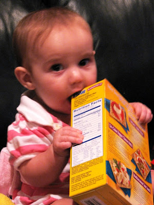 Maggie-eating-the-Triscuit-Box.jpg