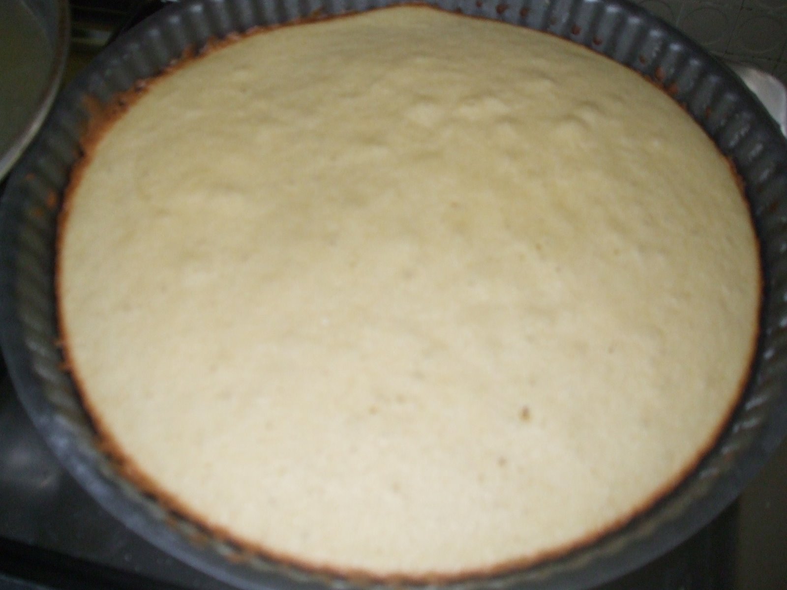 [DSCF0890.JPG]