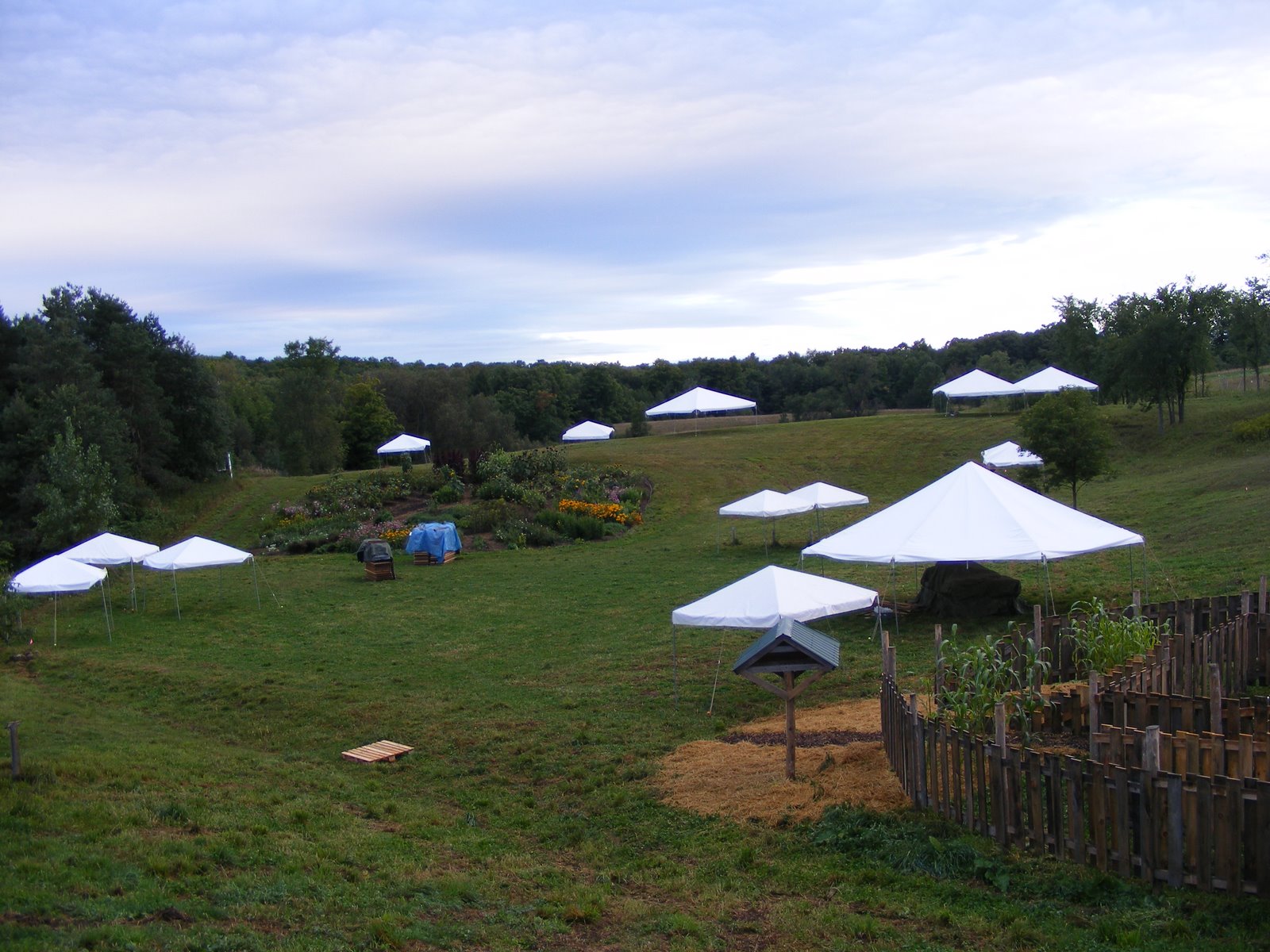[feastoffields_setup2.jpg]