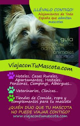 Viaja con tu mascota