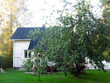 Talo loppukesällä 2009