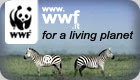 Aiuta il WWF