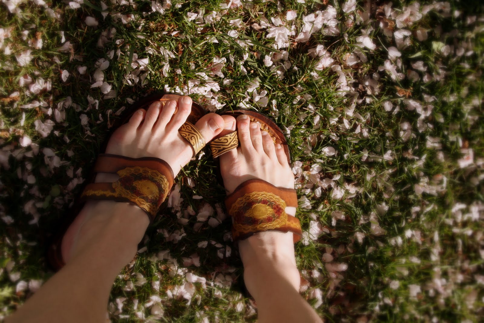 Fallen Slip Ons