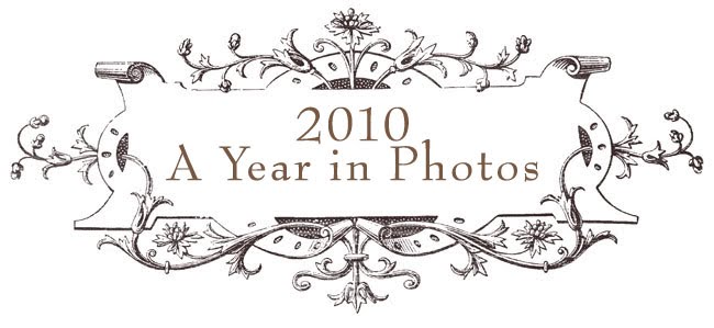 2010 - A Year in Photos