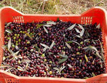 Life is just a box of olives