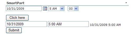 [DateTimeControl.JPG]