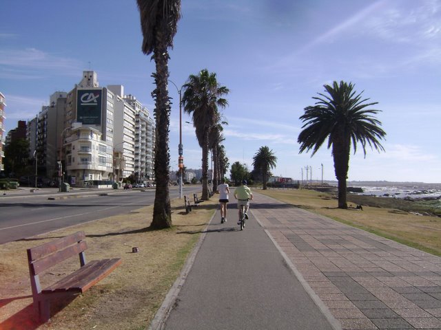 [DSC04556.JPG]